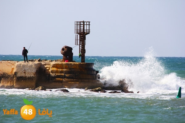 mina2 yaffaj343 (34).jpg